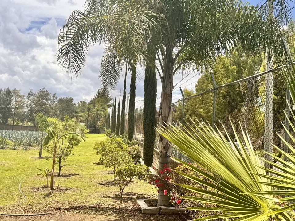 Foto 8 de TERRENO EN VENTA EN TLAJOMULCO DE ZUÑIGA, JAL.
