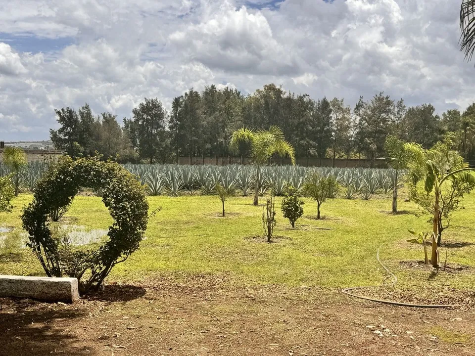 Foto 9 de TERRENO EN VENTA EN TLAJOMULCO DE ZUÑIGA, JAL.