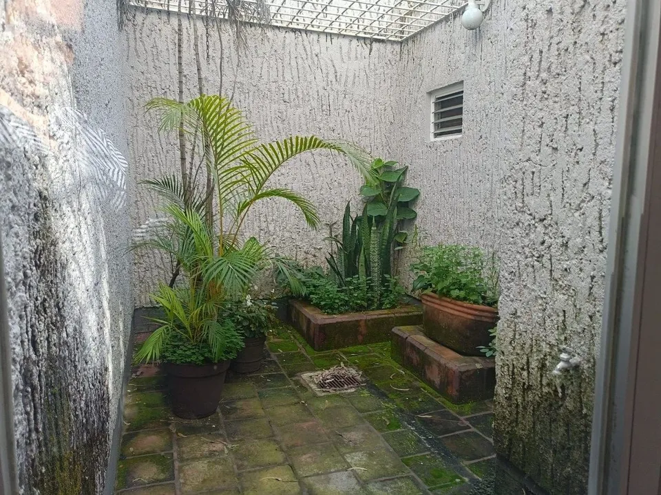 Foto 5 de Departamento En Venta En Jardines del Bosque