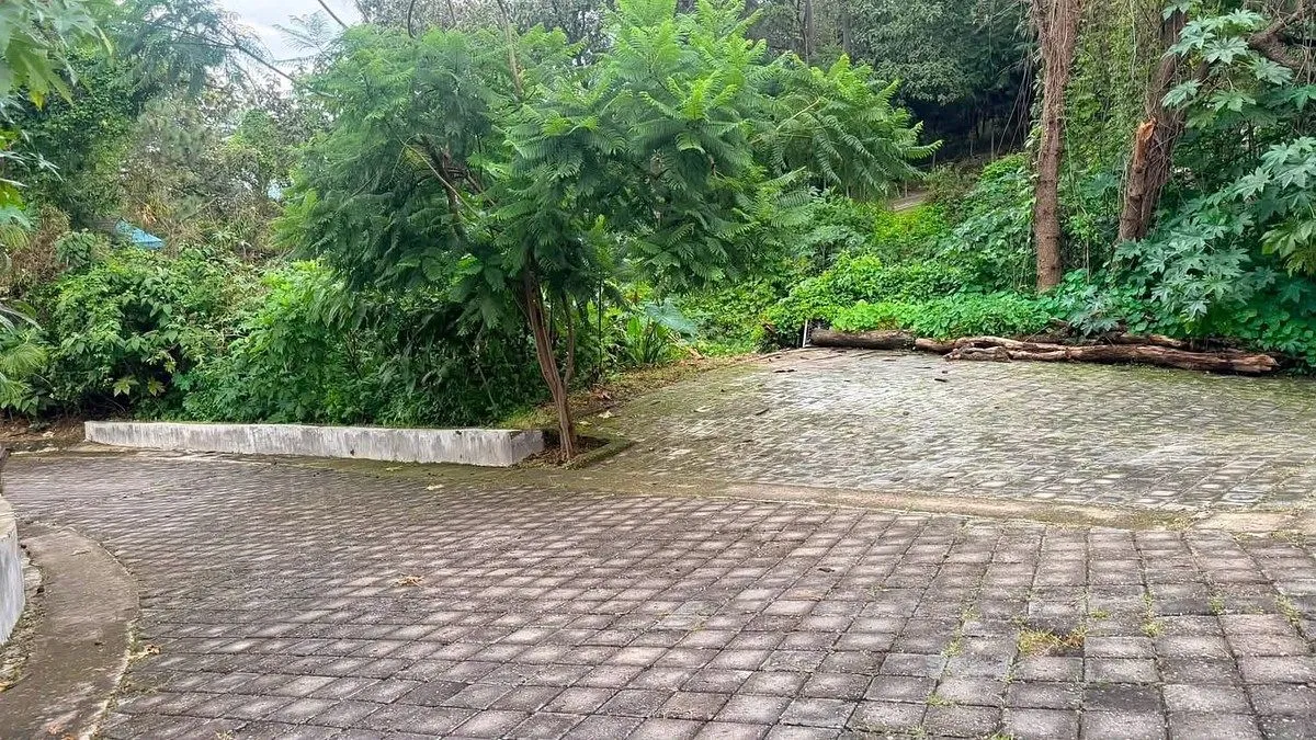 Foto 7 de Terreno en venta en Pinar de la Venta con terraza
