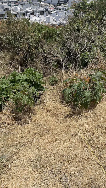 Foto 8 de Terreno en Coto Altea con Potencial para Desarrollo Vertical