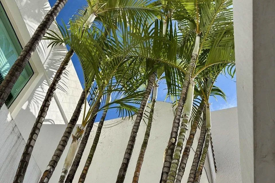 Foto 4 de Prados Tepeyac, a 7 minutos de "La Perla", 350 M2 de construcción, 3 recámaras