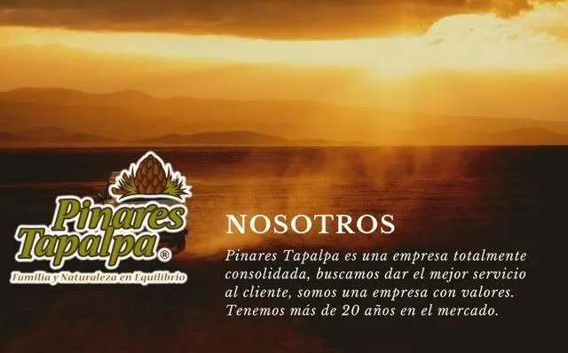 Terreno en venta en Paseo Pinares, San Antonio, Tapalpa , Guadalajara