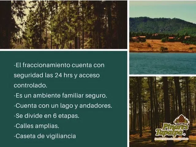 Foto 3 de Terreno en venta en Paseo Pinares, San Antonio, Tapalpa , Guadalajara