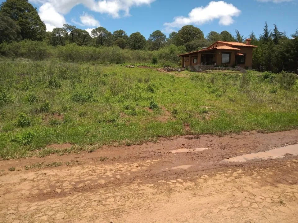 Foto 6 de Terreno en venta en Paseo Pinares, San Antonio, Tapalpa , Guadalajara