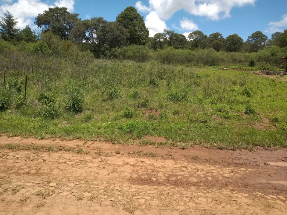 Foto 7 de Terreno en venta en Paseo Pinares, San Antonio, Tapalpa , Guadalajara
