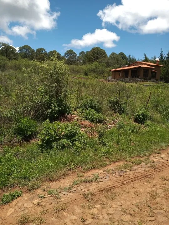 Foto 8 de Terreno en venta en Paseo Pinares, San Antonio, Tapalpa , Guadalajara