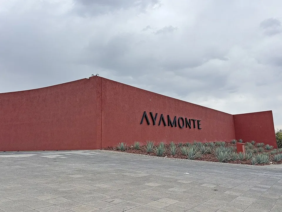 Foto 2 de TERRENO EN VENTA EN AYAMONTE