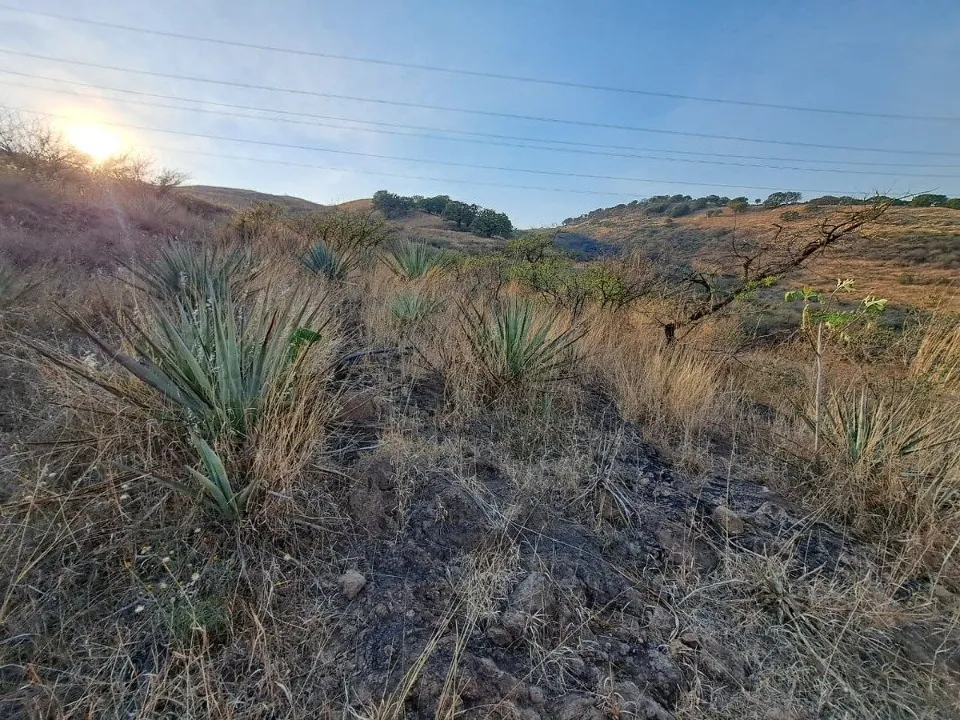 Foto 7 de Terreno en venta en Carretera A Colotlán, Ejido Copalita, Zapopan