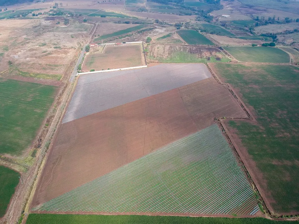 Foto 2 de Terreno en Venta en Nextipac, Zapopan