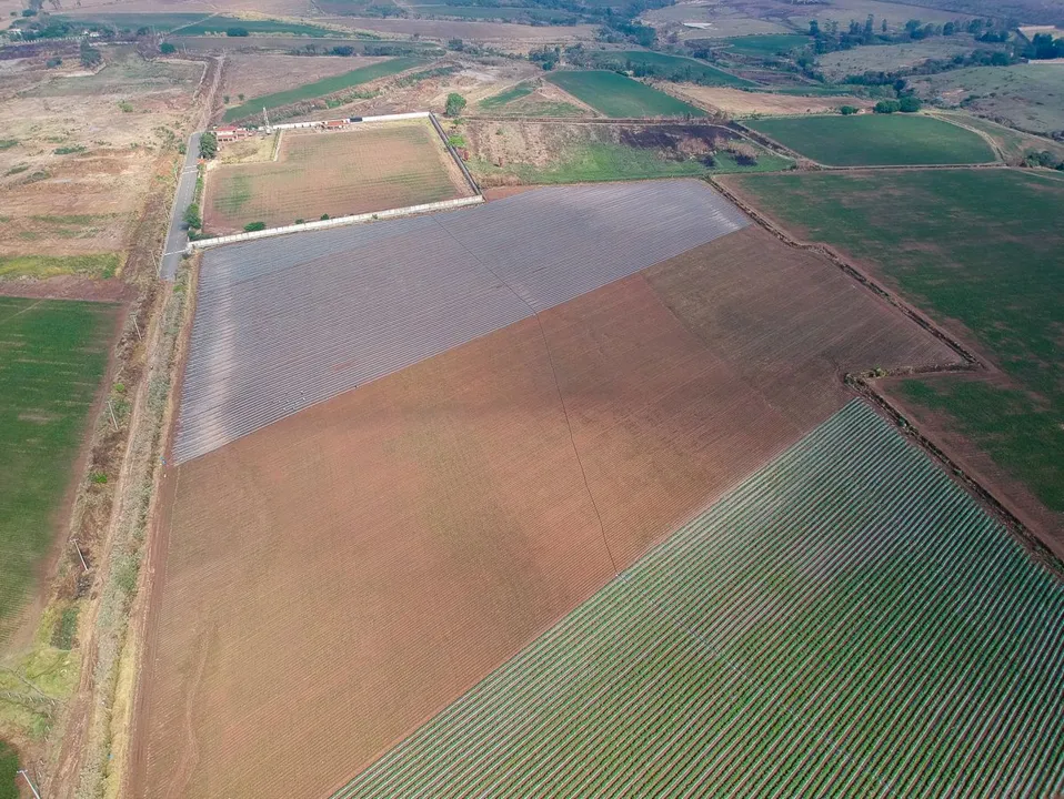 Foto 3 de Terreno en Venta en Nextipac, Zapopan