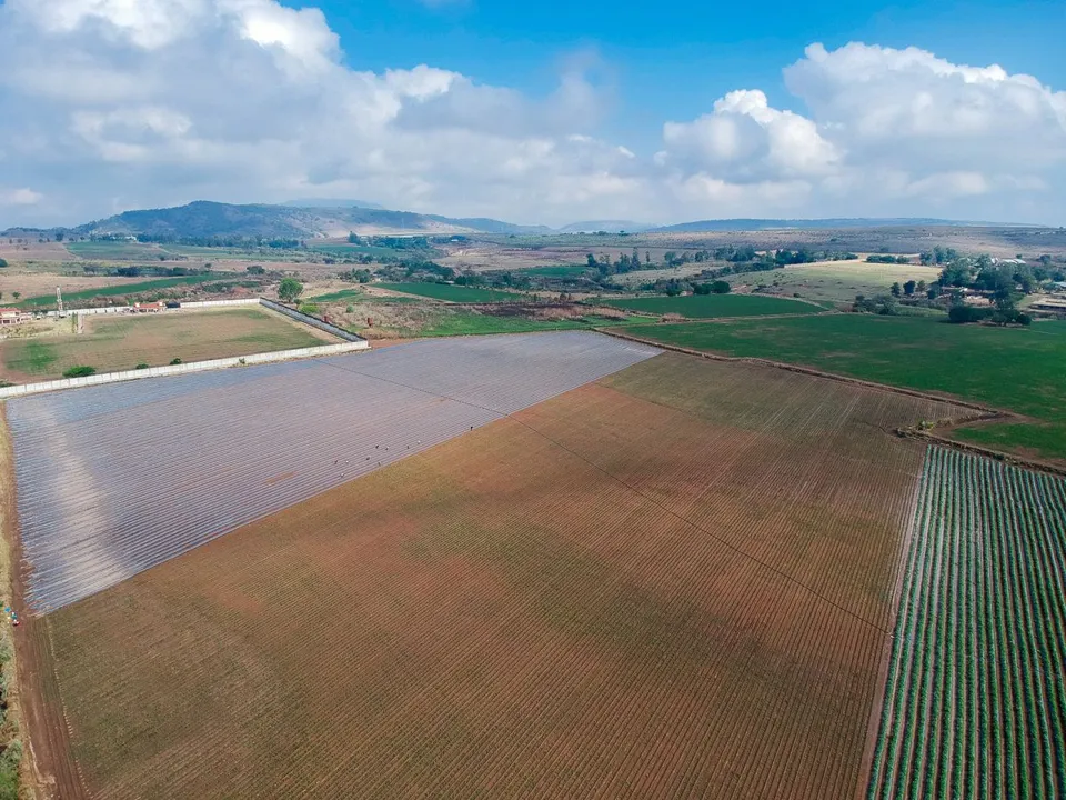 Foto 4 de Terreno en Venta en Nextipac, Zapopan