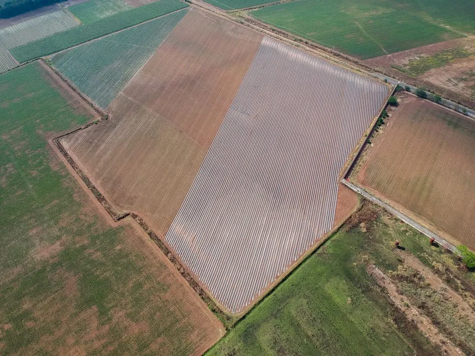 Foto 8 de Terreno en Venta en Nextipac, Zapopan