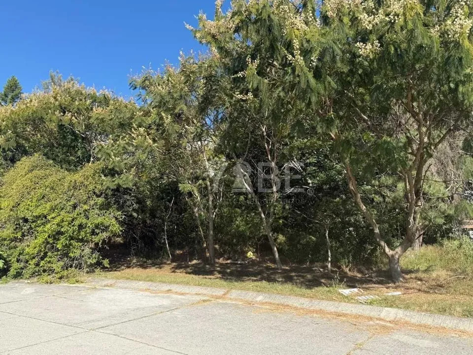 Terreno en venta el Palomar