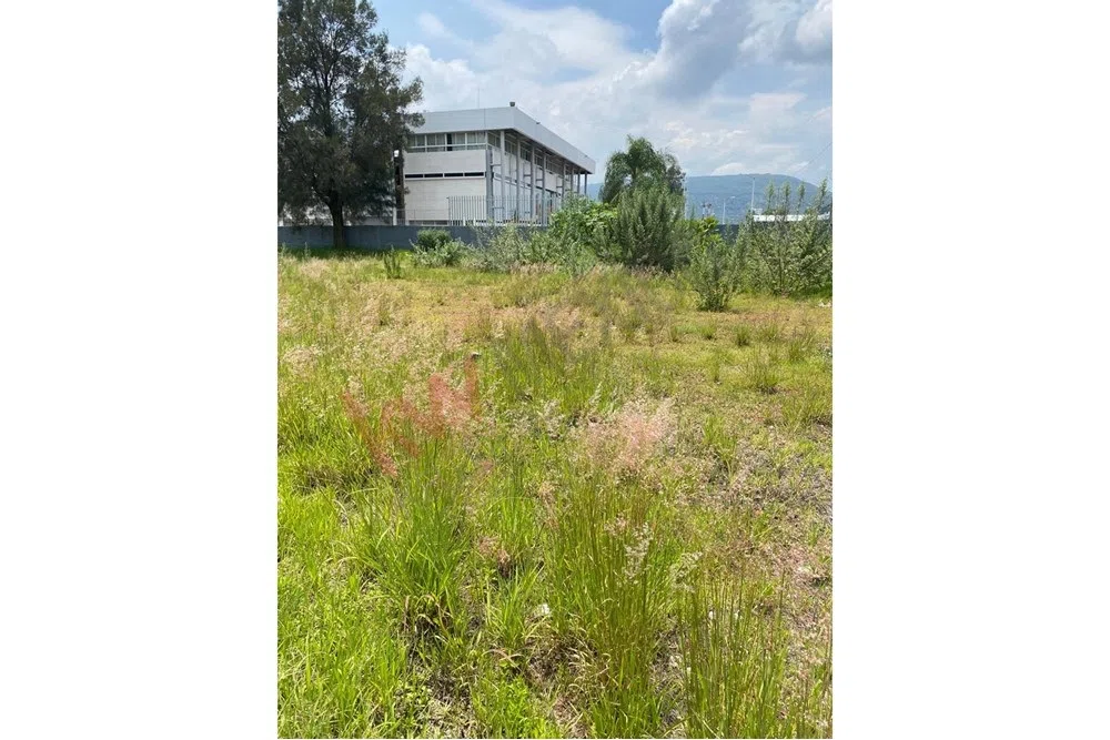 Foto 8 de Terreno en renta , San Juan de Ocotan , Zapopan ,Jalisco