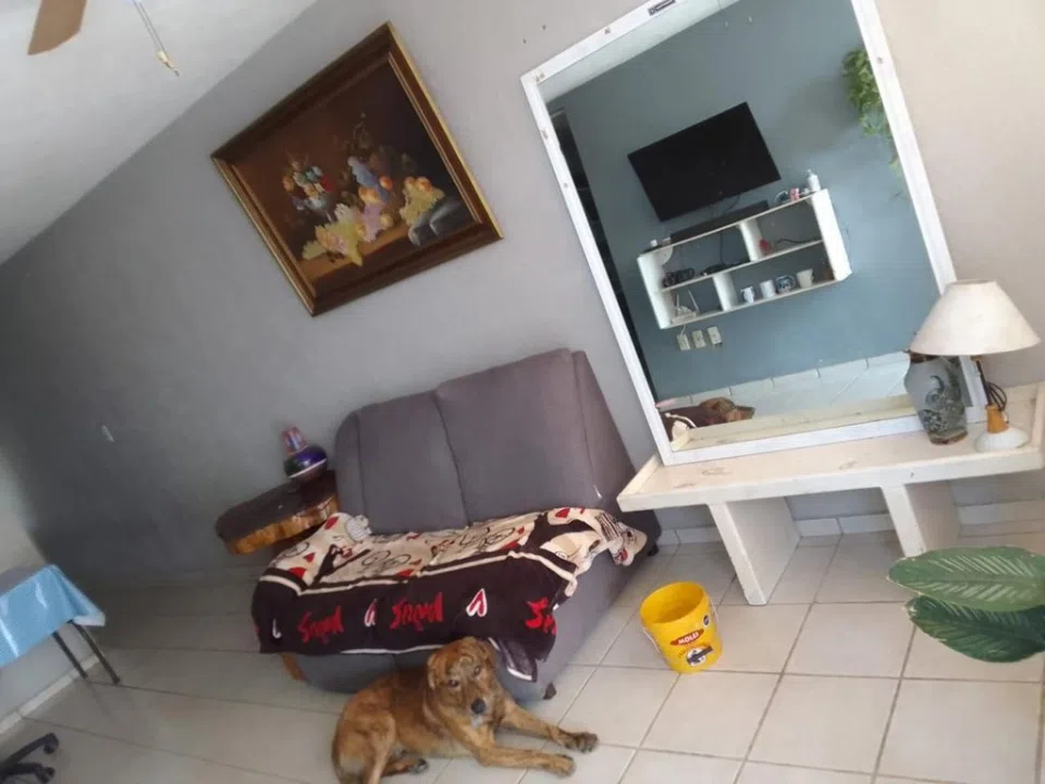 Foto 4 de Casa en Calle Valle de los Sabinos #151 , Tlajomulco de Zúñiga