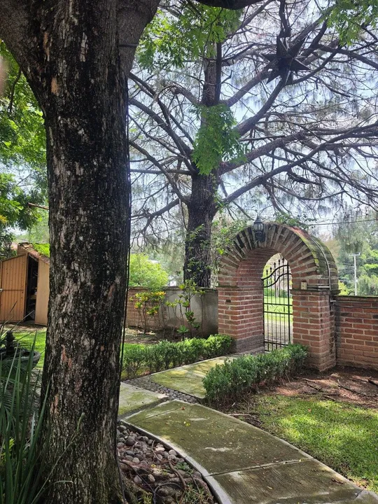 Foto 3 de Tu cabaña en el bosque dentro de la ciudad: Refugio perfecto en Lomas de Sta Ani