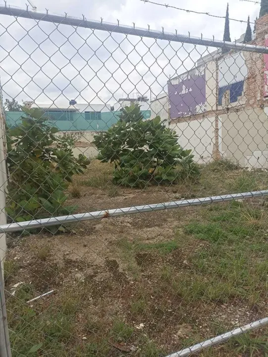 Foto 3 de Terreno comercial renta, Providencia 3a Secc. Guadalajara | CTR-2192