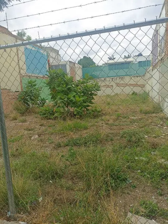 Foto 4 de Terreno comercial renta, Providencia 3a Secc. Guadalajara | CTR-2192