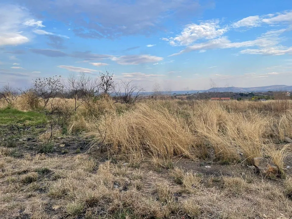 Foto 3 de 🏡 TERRENO EN VENTA EN EL VADO, TONALÁ