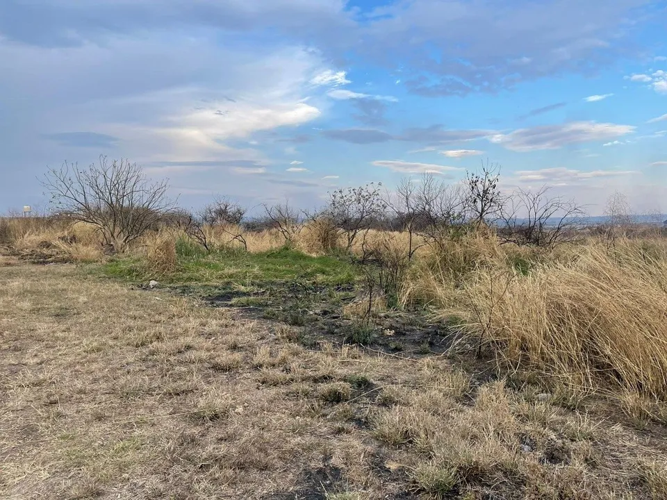 Foto 4 de 🏡 TERRENO EN VENTA EN EL VADO, TONALÁ