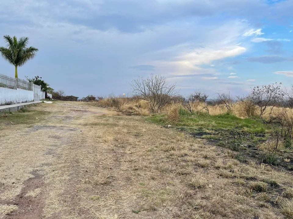 Foto 5 de 🏡 TERRENO EN VENTA EN EL VADO, TONALÁ