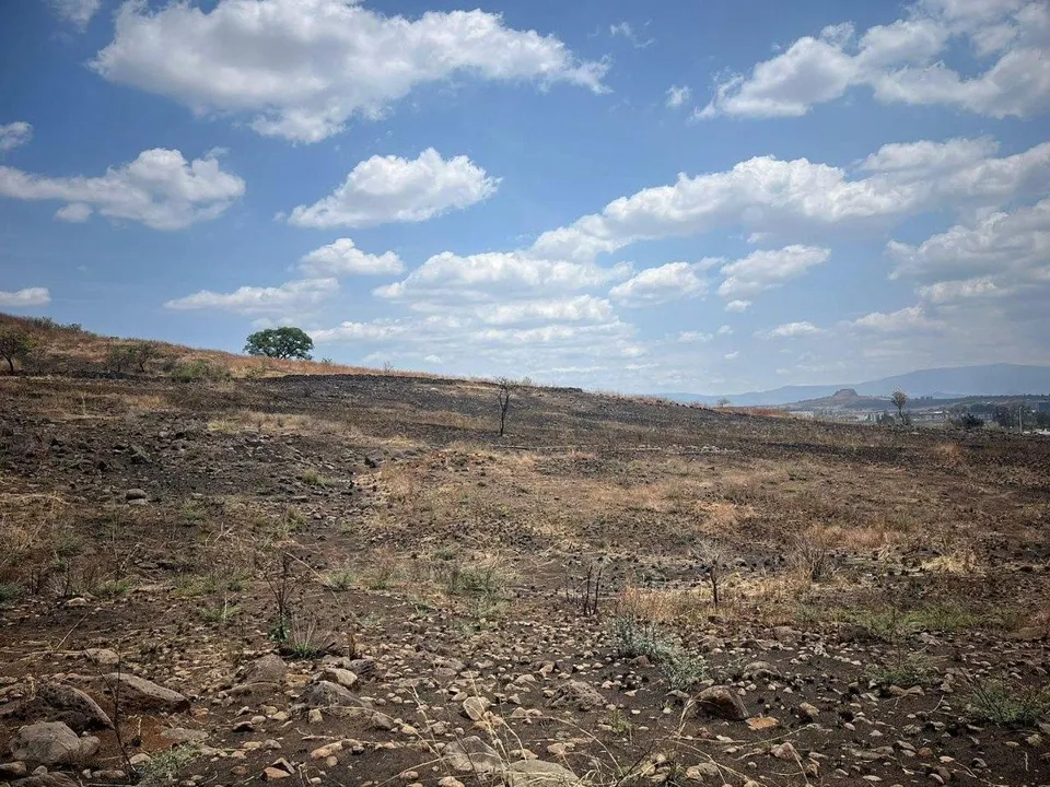 Foto 4 de Terreno Habitacional de 117 m² en Tonalá