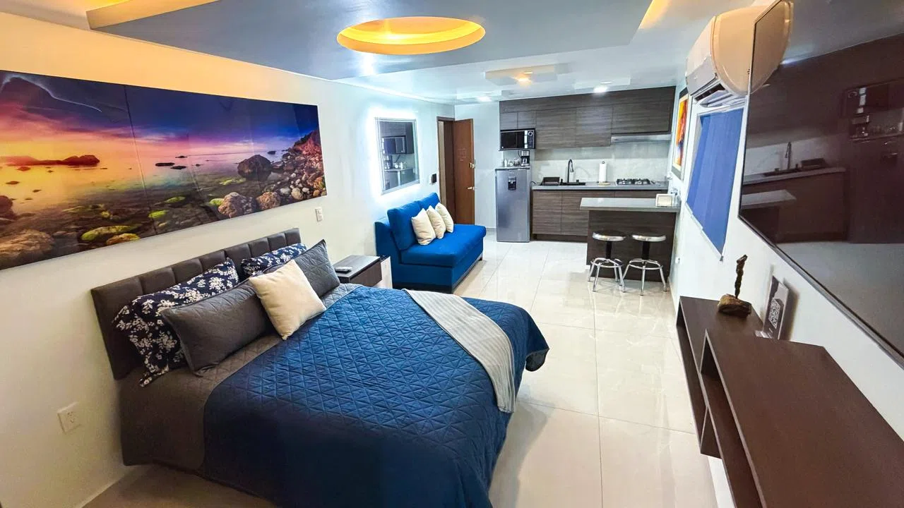 LOFT AMUEBLADO EN RENTA PLANTA BAJA