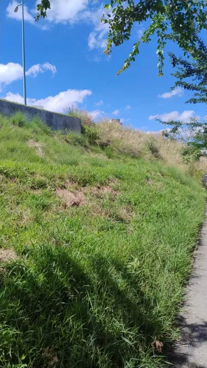 Foto 3 de HERMOSO TERRENO EN VENTA, COLINAS DE SAN ISIDRO, ZAPOPAN