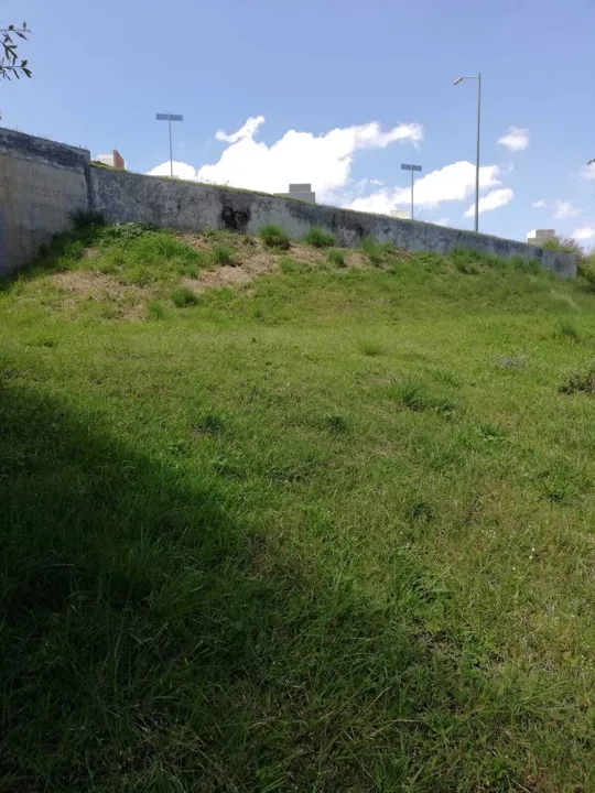 Foto 4 de HERMOSO TERRENO EN VENTA, COLINAS DE SAN ISIDRO, ZAPOPAN