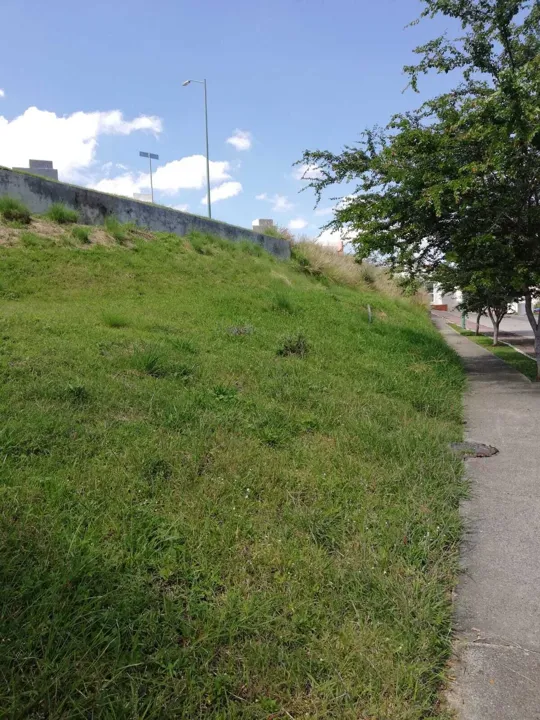 Foto 5 de HERMOSO TERRENO EN VENTA, COLINAS DE SAN ISIDRO, ZAPOPAN