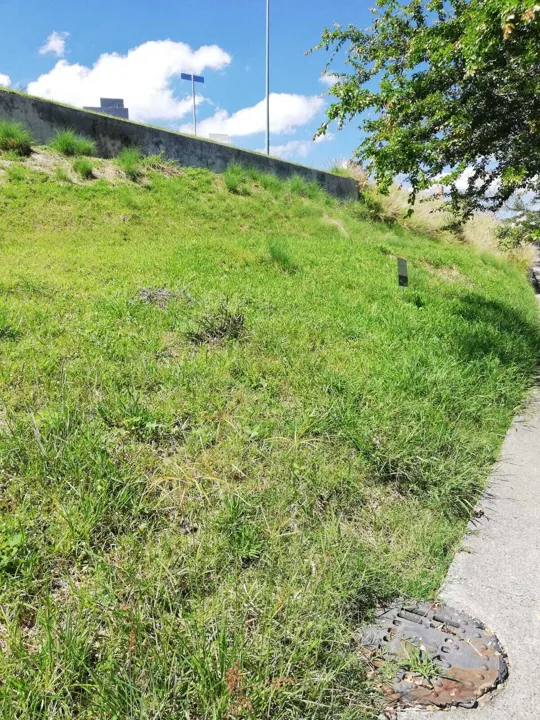 Foto 6 de HERMOSO TERRENO EN VENTA, COLINAS DE SAN ISIDRO, ZAPOPAN