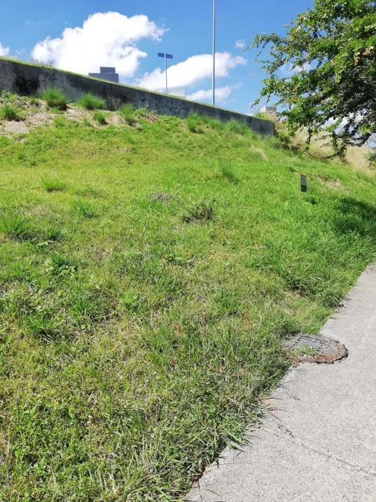 Foto 8 de HERMOSO TERRENO EN VENTA, COLINAS DE SAN ISIDRO, ZAPOPAN