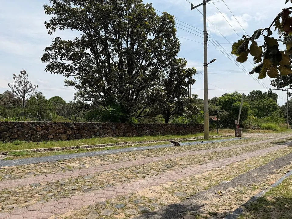 Foto 2 de Terreno en venta Hacienda La Herradura (carretera a Tequila)