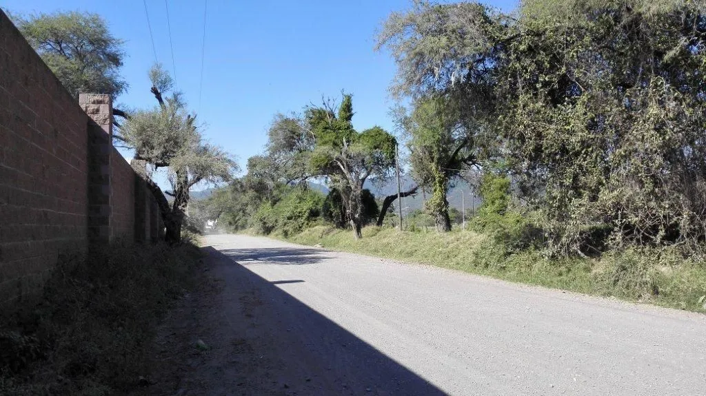 Foto 3 de Campo Sur