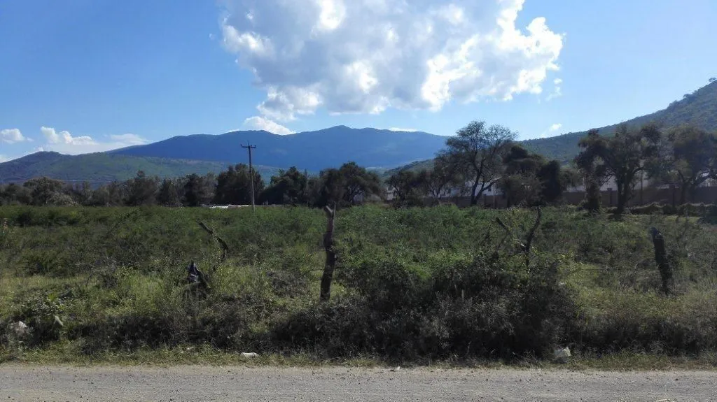 Foto 6 de Campo Sur