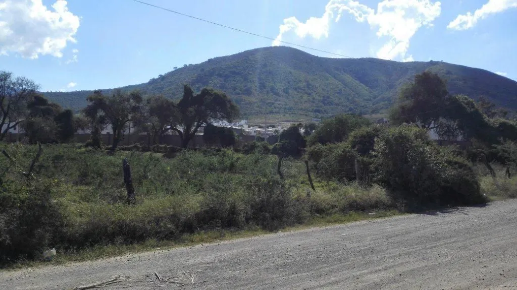 Foto 7 de Campo Sur
