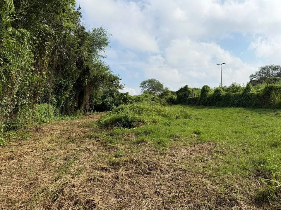 Terreno En Venta En Cajititlan, Tlajomulco De Zuñiga, Jalisco