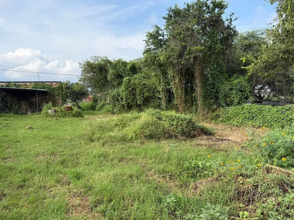 Foto 2 de Terreno En Venta En Cajititlan, Tlajomulco De Zuñiga, Jalisco