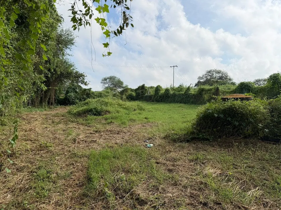 Foto 5 de Terreno En Venta En Cajititlan, Tlajomulco De Zuñiga, Jalisco