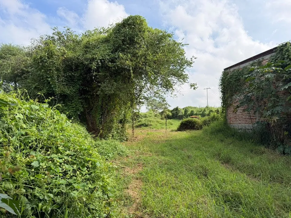 Foto 7 de Terreno En Venta En Cajititlan, Tlajomulco De Zuñiga, Jalisco