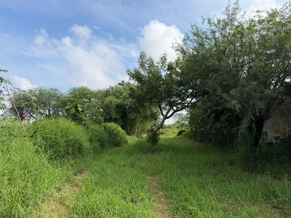 Foto 8 de Terreno En Venta En Cajititlan, Tlajomulco De Zuñiga, Jalisco