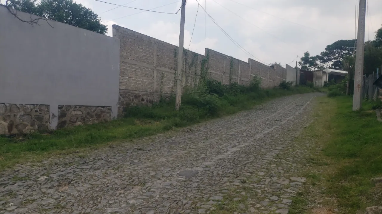 Foto 2 de Terreno en venta en Mesa Ancha, La Venta del Astillero, Zapopan