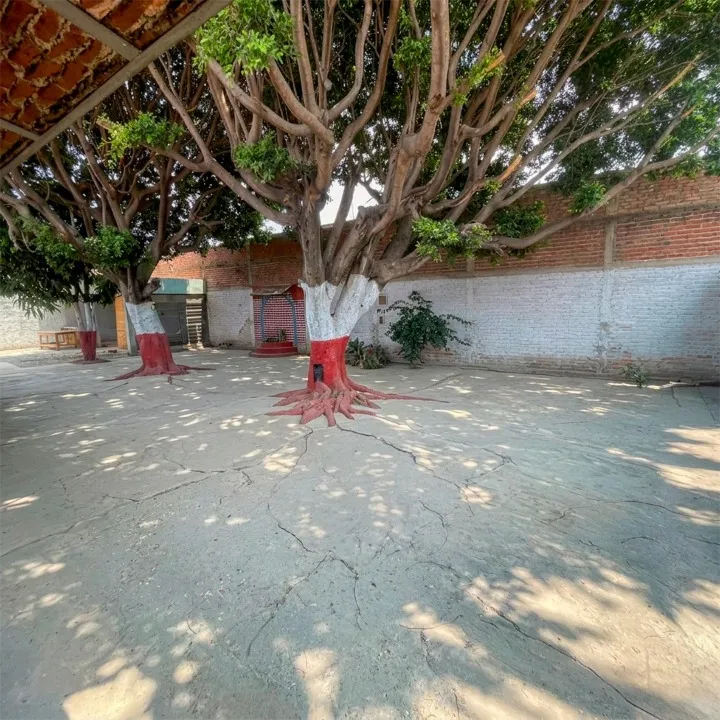 Foto 5 de LOCAL COMERCIAL EN RENTA > PERFECTO PARA FRANQUICIAS