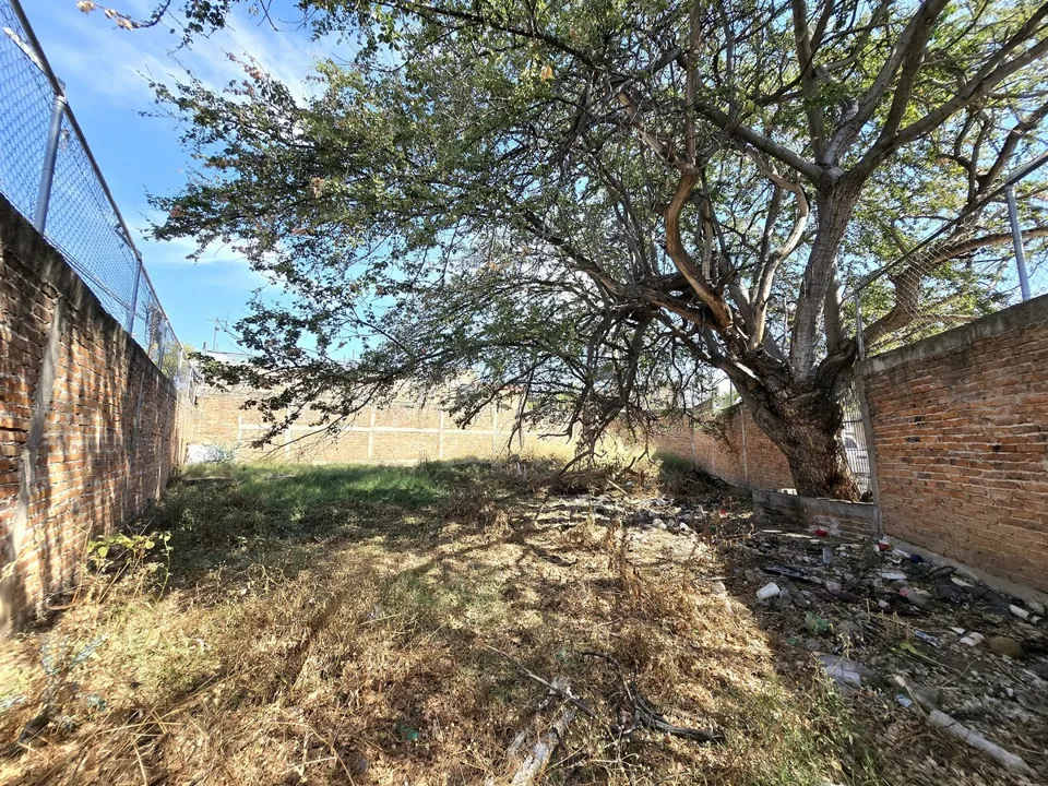 Foto 5 de Terreno en renta ideal para negocio