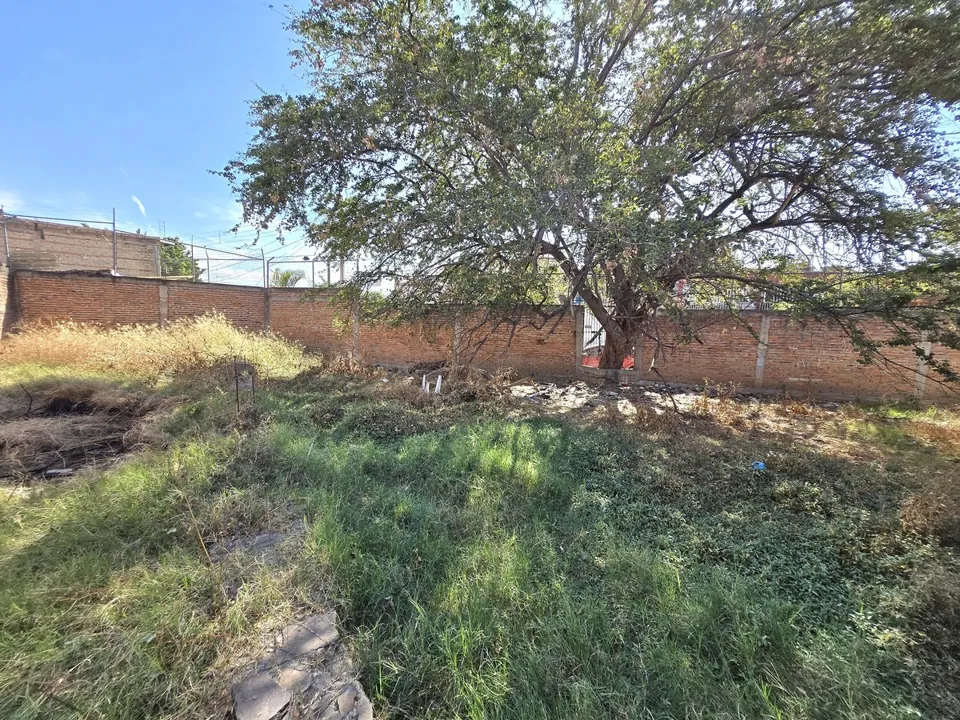 Foto 6 de Terreno en renta ideal para negocio