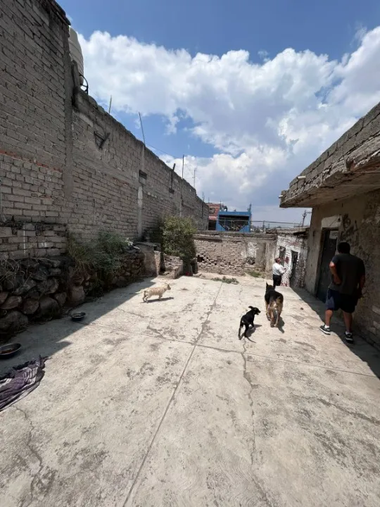 Foto 6 de Terreno en venta en Calle Edmundo Gómez Orozco, Francisco Villa, Guadalajara