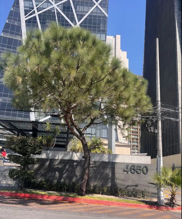 Oficina en venta en Puerta de Hierro, Aura corprativo