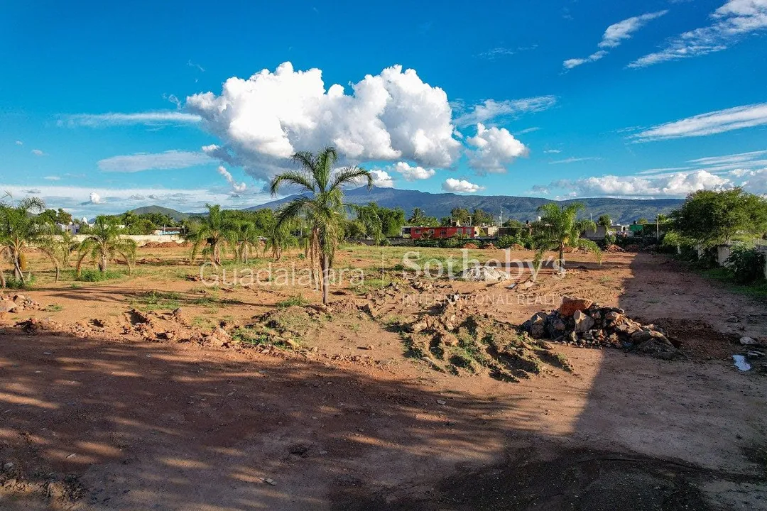Foto 2 de Terreno Industrial en venta y renta - Tlajomulco de Zuñiga
