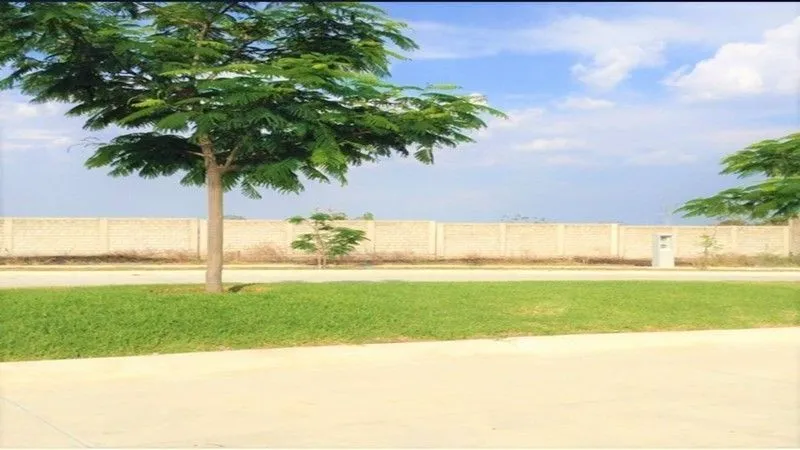 Foto 4 de Terreno en venta Coto Habitat San Millan col. Bosques de Santa Anita, Tlajomulco